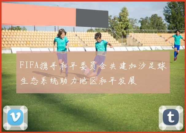 FIFA携手和平委员会共建加沙足球生态系统助力地区和平发展
