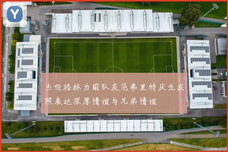 杰伦格林为前队友范弗里特庆生发照表达深厚情谊与兄弟情谊