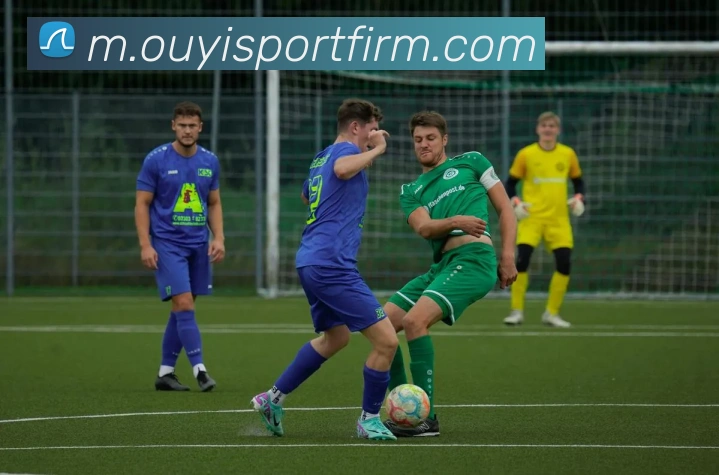 欧亿体育APP 封面图