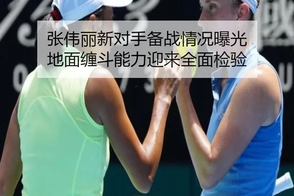 张伟丽新对手备战情况曝光 地面缠斗能力迎来全面检验（oetysports）